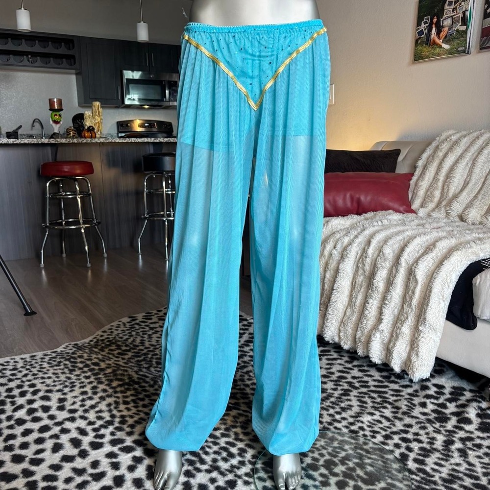 Turquoise Sheer Harem Genie Pants Gold Trim 🧞♂️